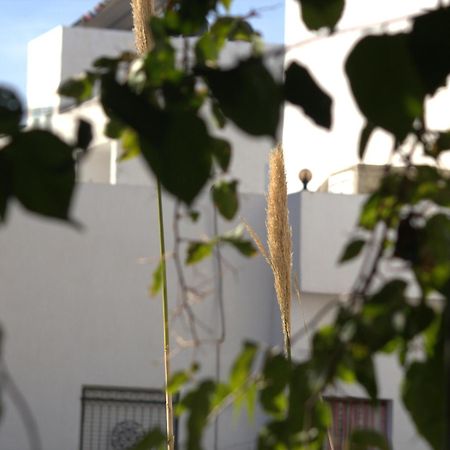 Residence Sterne Hammam al Ghazzaz Eksteriør billede